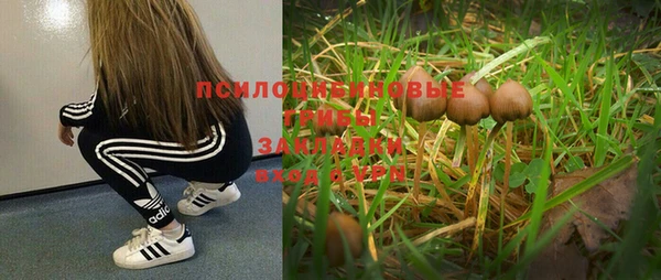 спайс Арсеньев