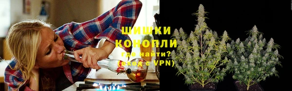 спайс Арсеньев